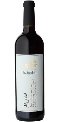 MERLOT Doc Montello e Colli Asolani (0,75cl)